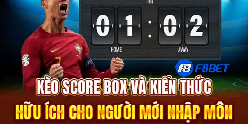 Phân loại các loại kèo score box phổ biến